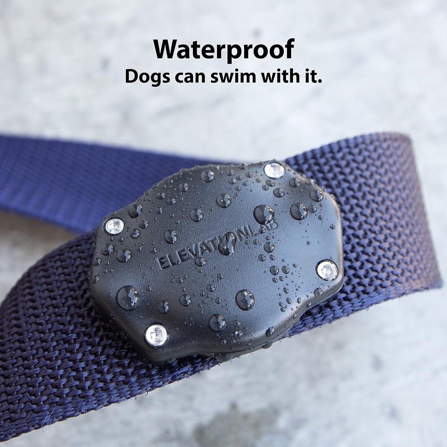 Elevation Lab TagVault AirTag Soporte para Collar de Perro (Paquete...