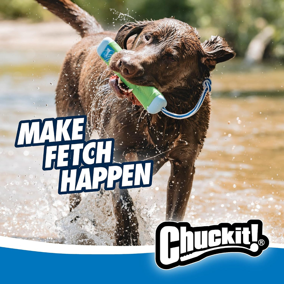 Chuckit! Juguete Palo Parachoques Anfibio de Buscar para Perros \u2...