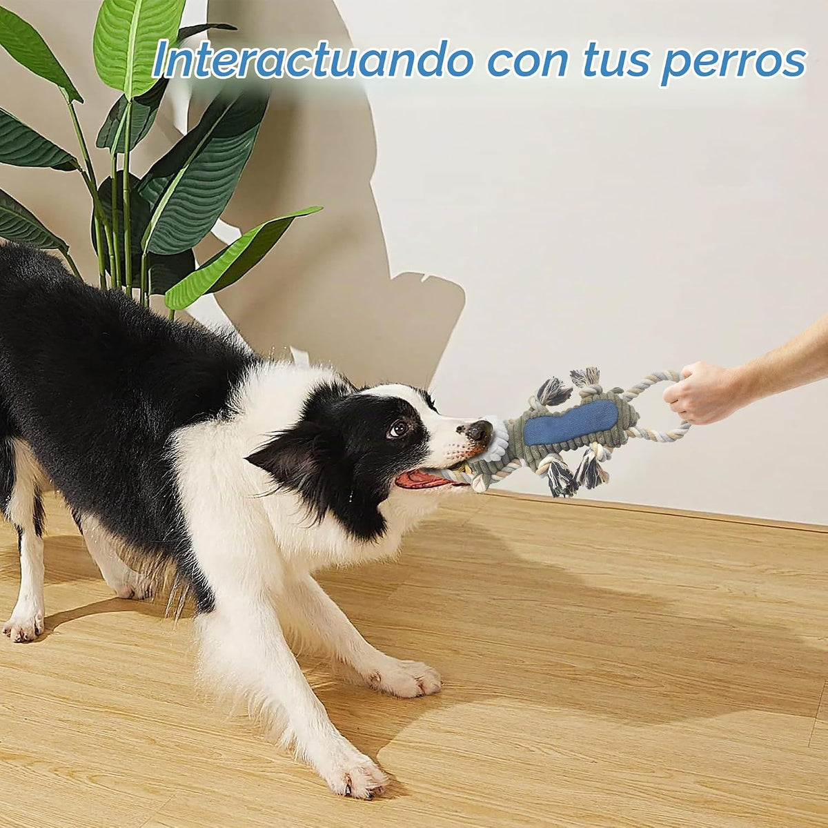BUYPOW Juguetes para perros grandes \u2013 Juguetes chirriantes de...