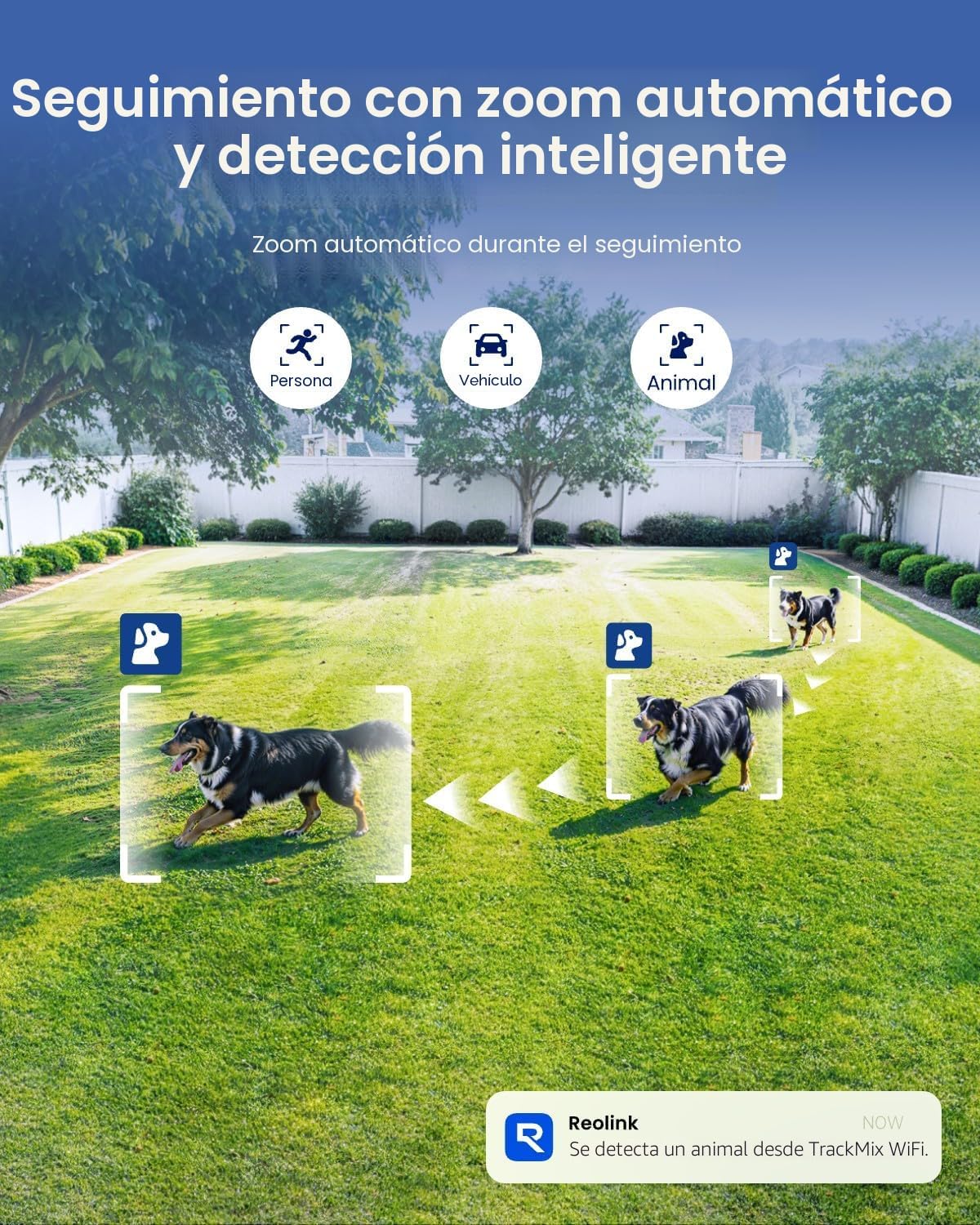 REOLINK Cámara de seguridad al aire libre con cable WiFi de la lent...