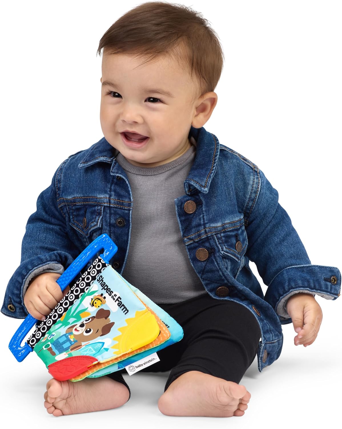 Baby Einstein Farm Explorers Shapes at the Farm Libro mordedor, mul...