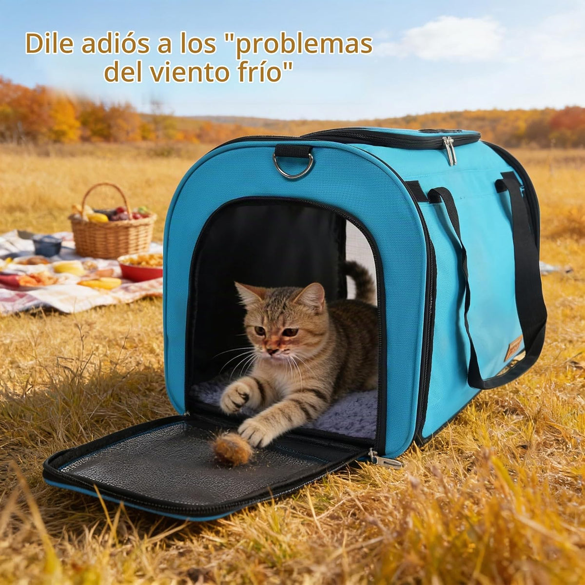TWDEPART Mochila transportadora para gatos, multifuncional, firme y...