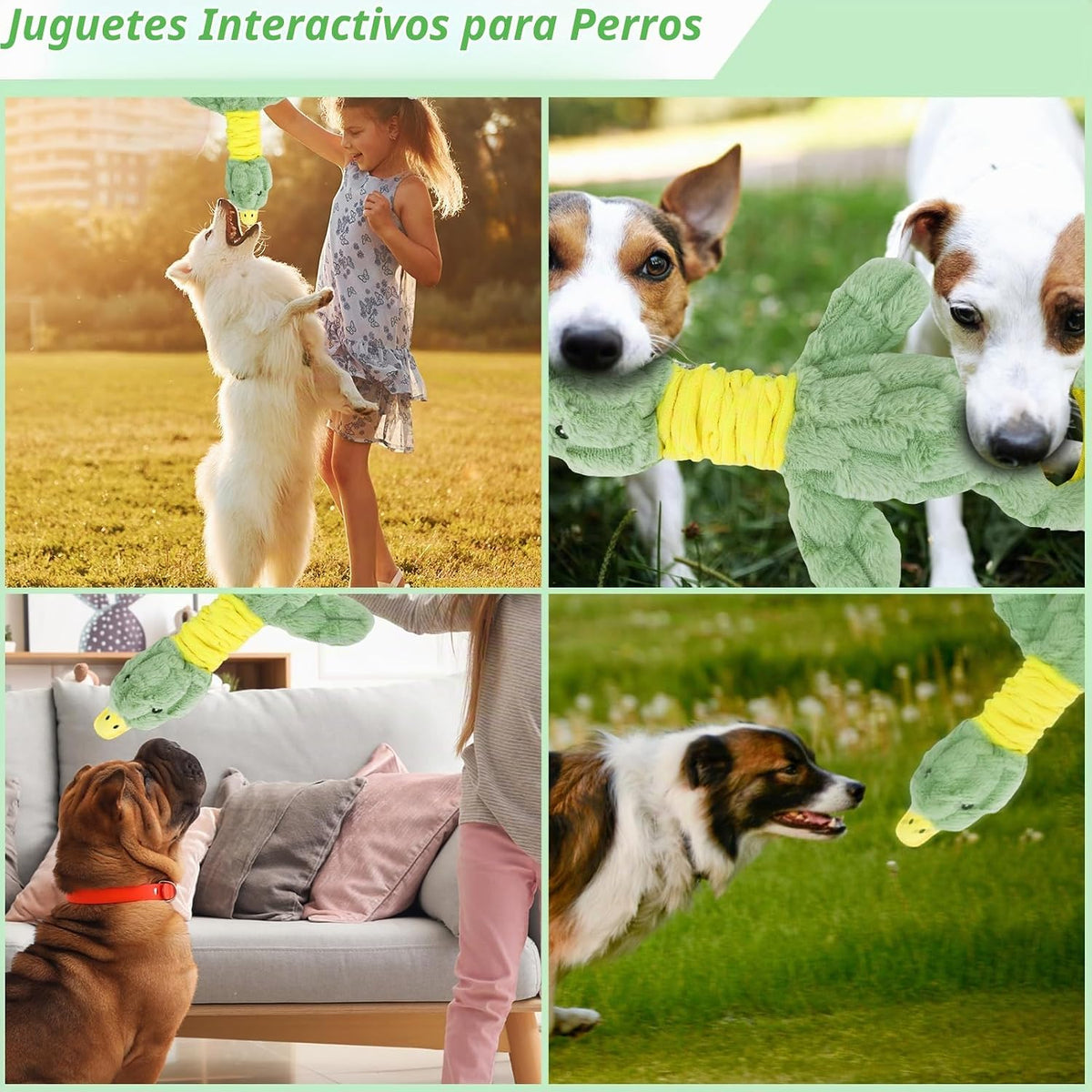 Eneston Juguetes chirriantes de felpa grandes para perros, juguetes...