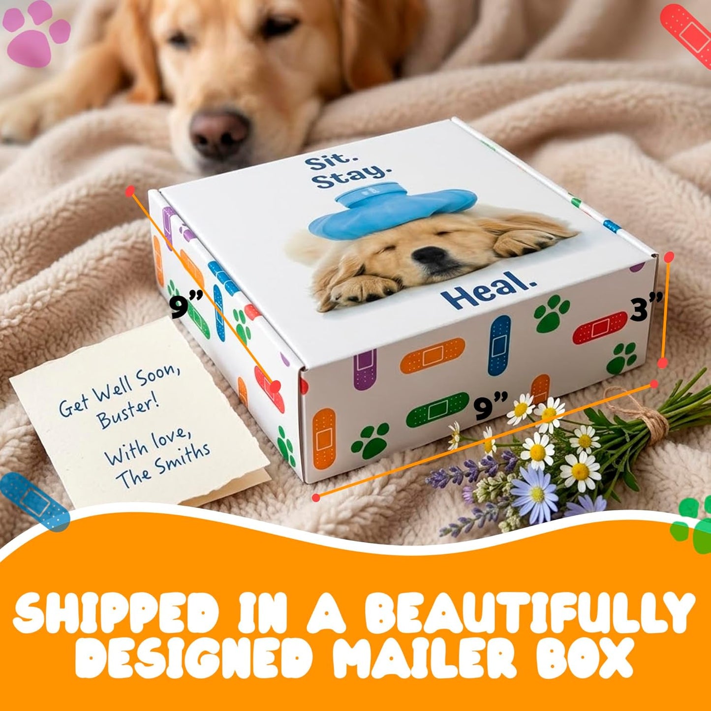 Get Well Soon Regalos para perros, paquete de cuidado de perros, ce...