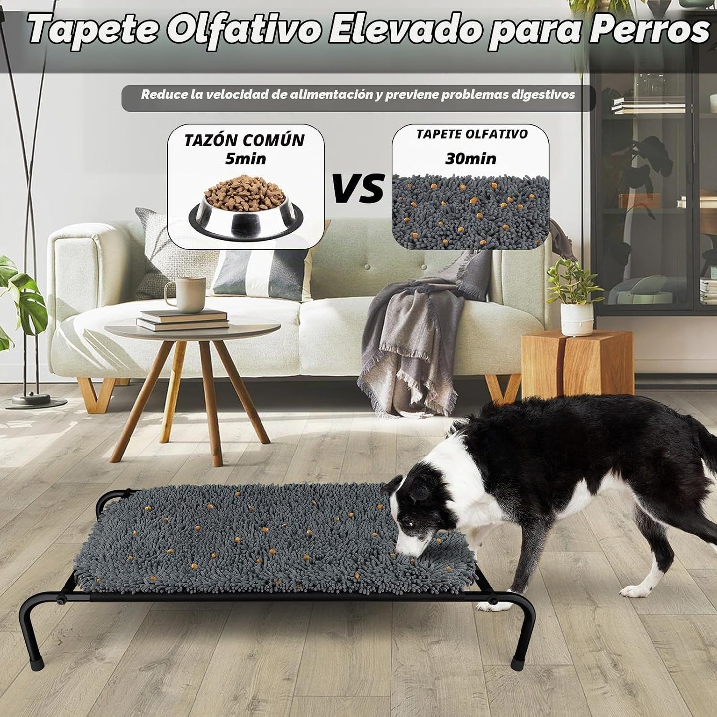 Rundik Cama Elevada para Perros con Función de Alfombrilla Olfativa...