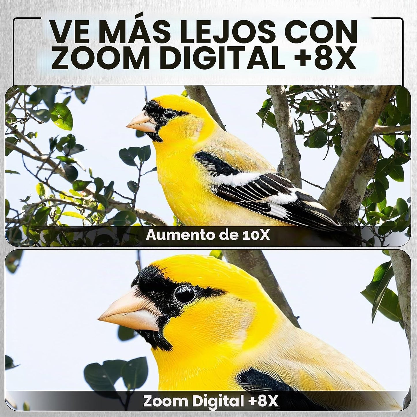 Minolta MNDM10B 4K Video 10x25 Kit monocular de visión nocturna dig...