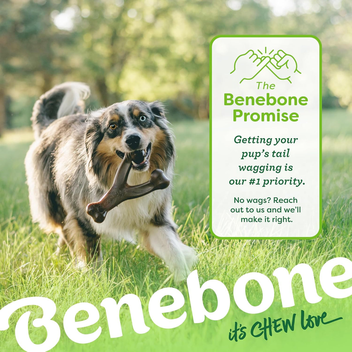 Benebone Wishbone - Juguete masticable para perros para masticadore...