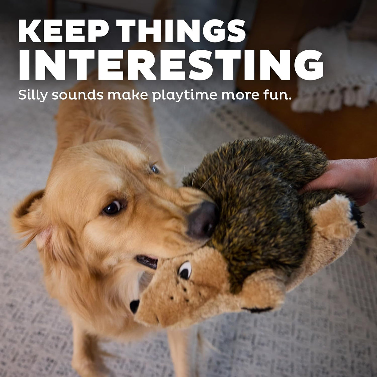 Outward Hound - Juguete de peluche Hedgehogz para perro, tamaño L |...