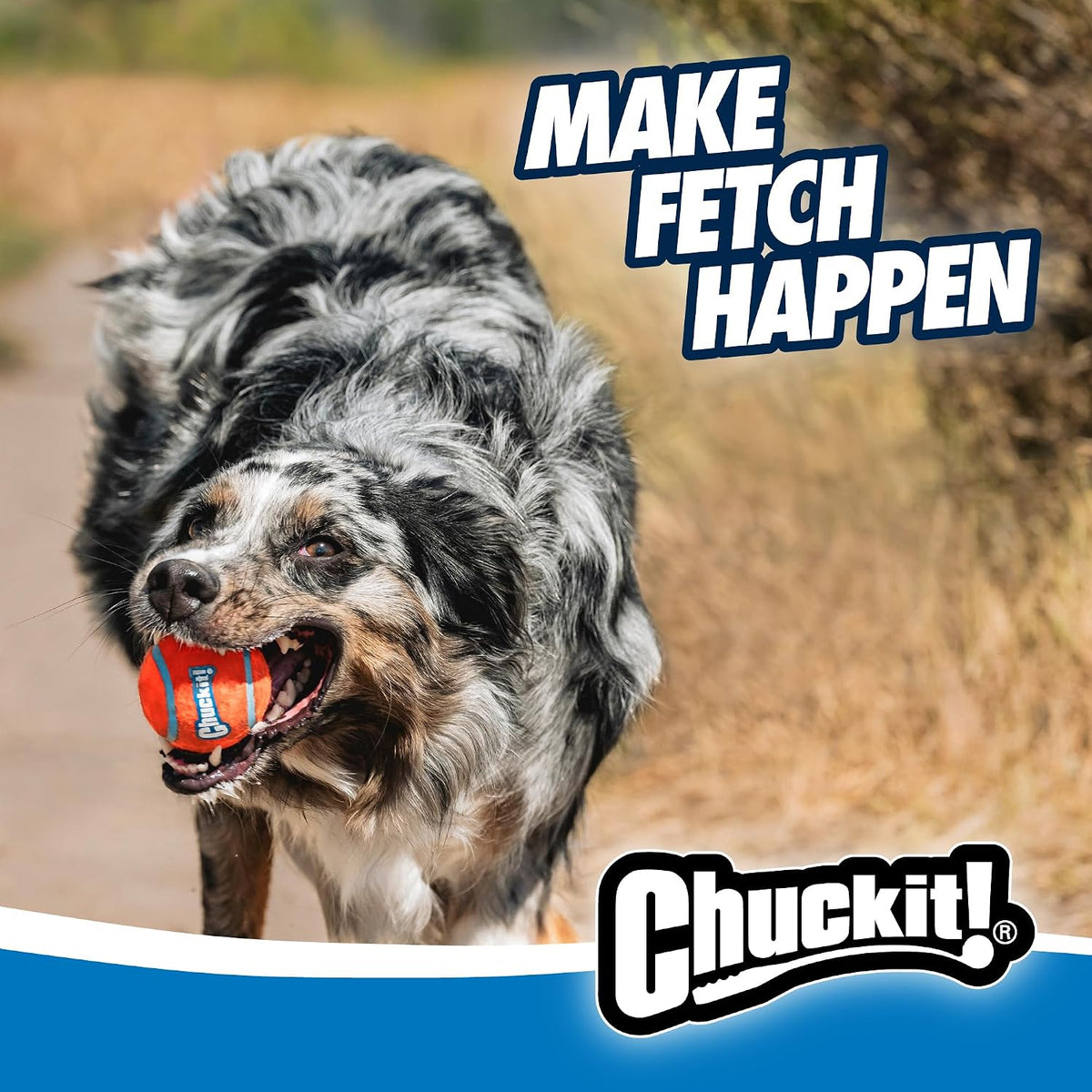 Chuckit! Lanzador de Bolas para Perros 12M Sport con Mango de 12...