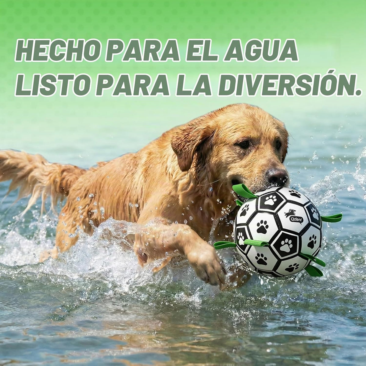 QDAN Juguetes para perros pequeños y medianos, pelota de fútbol par...