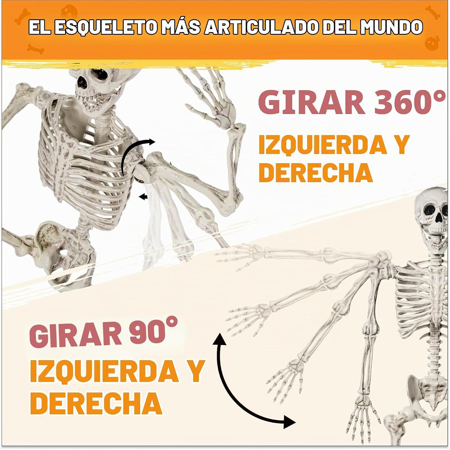 JOYIN - Esqueleto de Halloween de 1.7 m articulable, tamaño real, c...