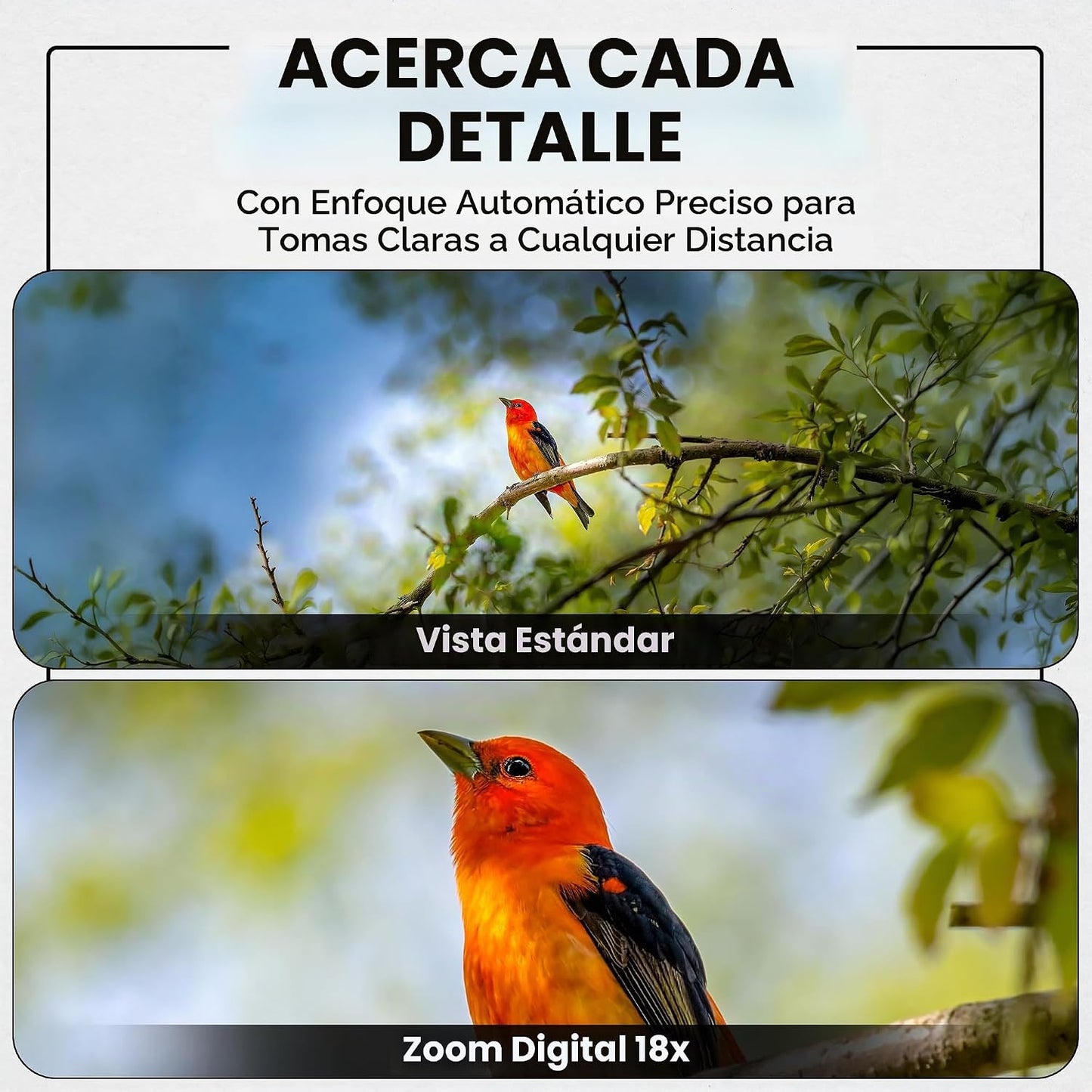 Minolta Cámara digital de 64 MP, 2 vistas, pantallas LCD traseras f...