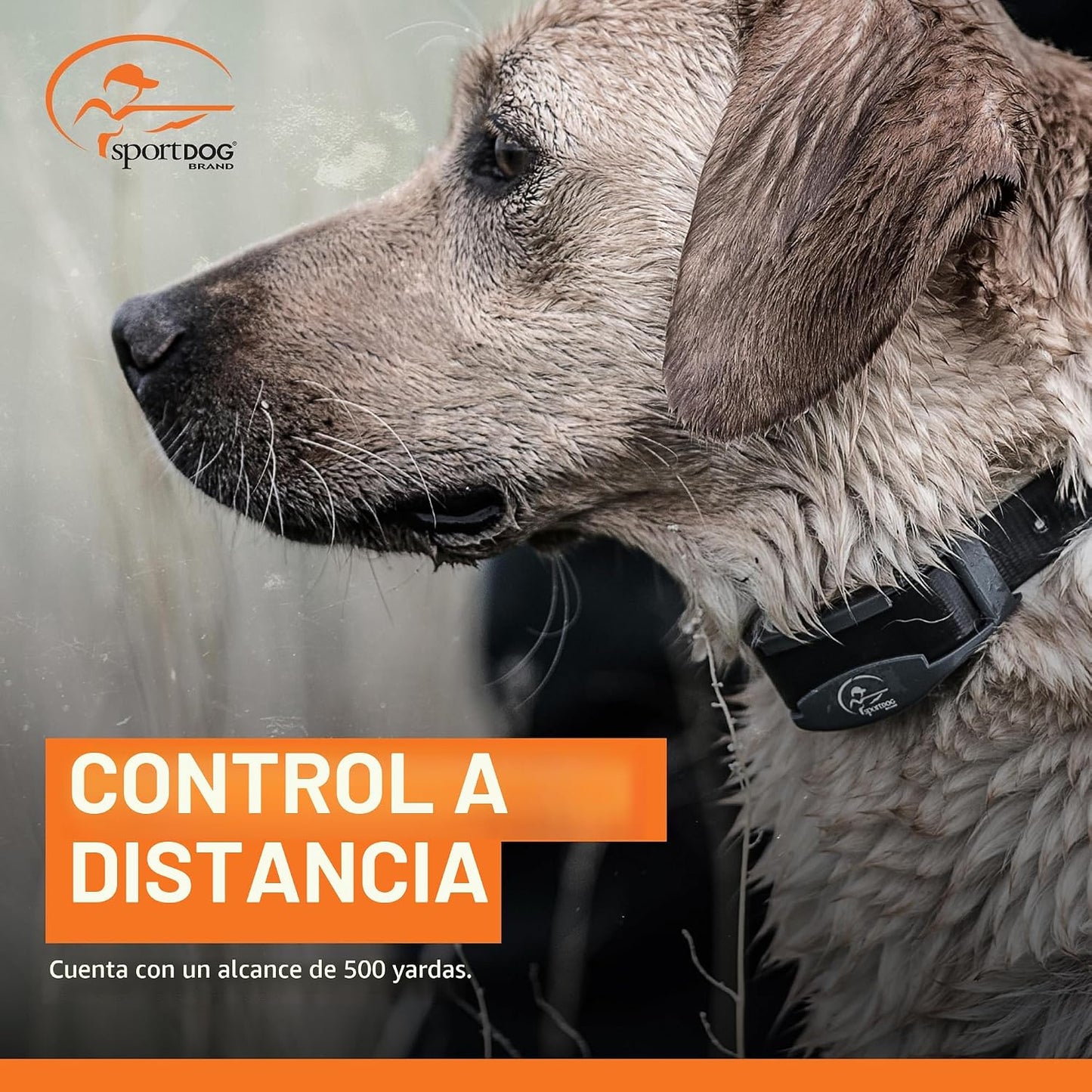 SportDOG FieldTrainer 425XS - Entrenador remoto diseñado para contr...