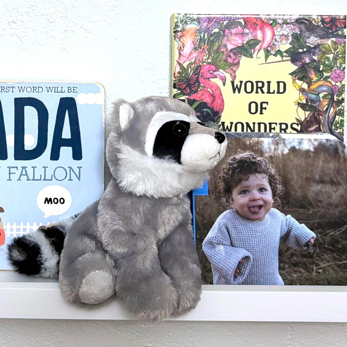 The Petting Zoo - Peluche de mapache, regalos para niños, colección...
