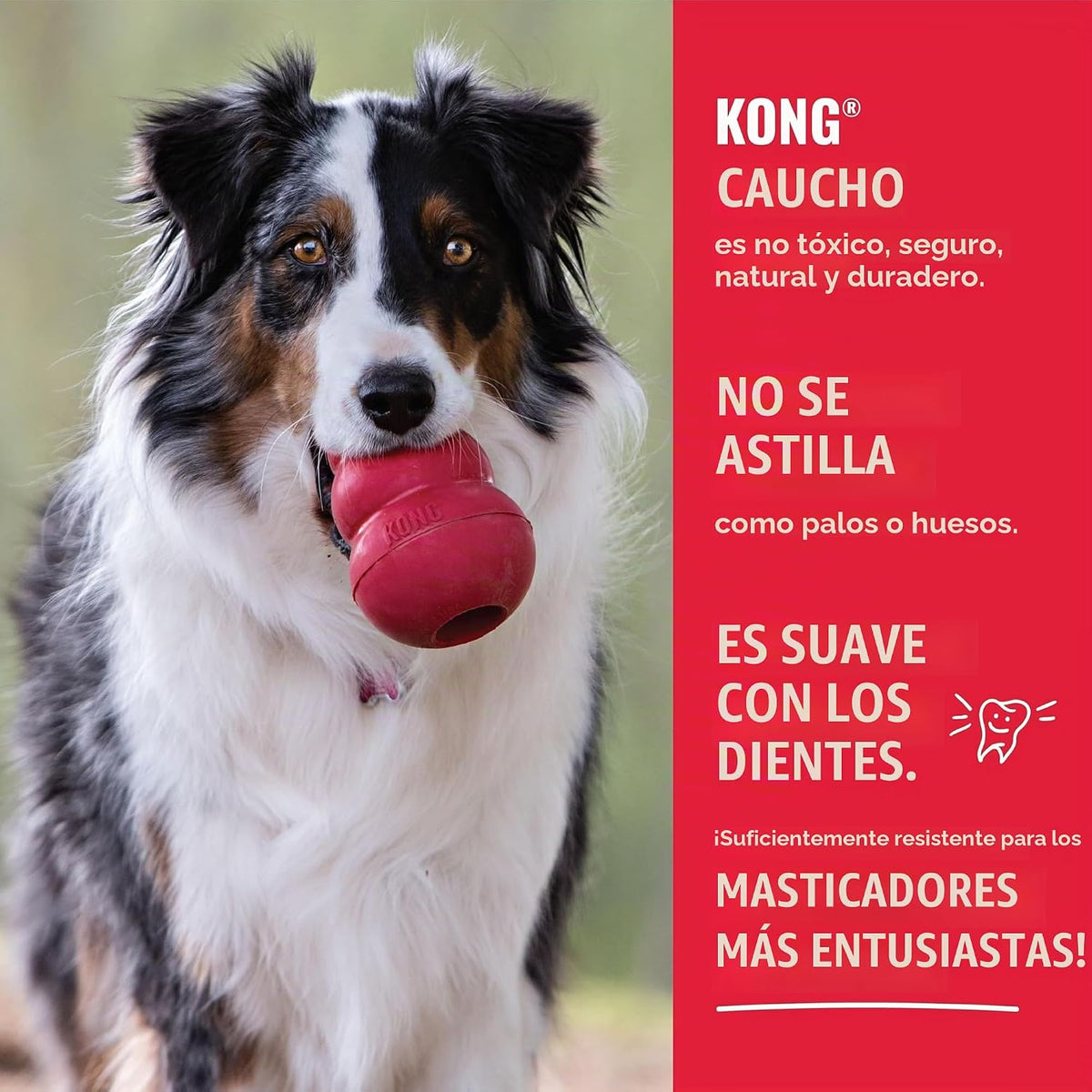 KONG Goodie Bone, juguete de goma natural, rojo, para perros extra...