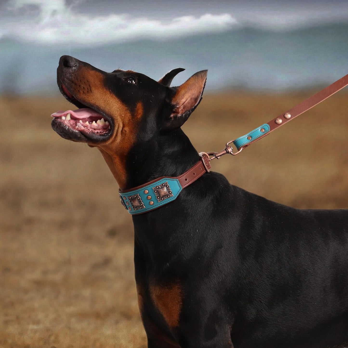 PET ARTIST Collar de perro de cuero acolchado mejorado, collares de...