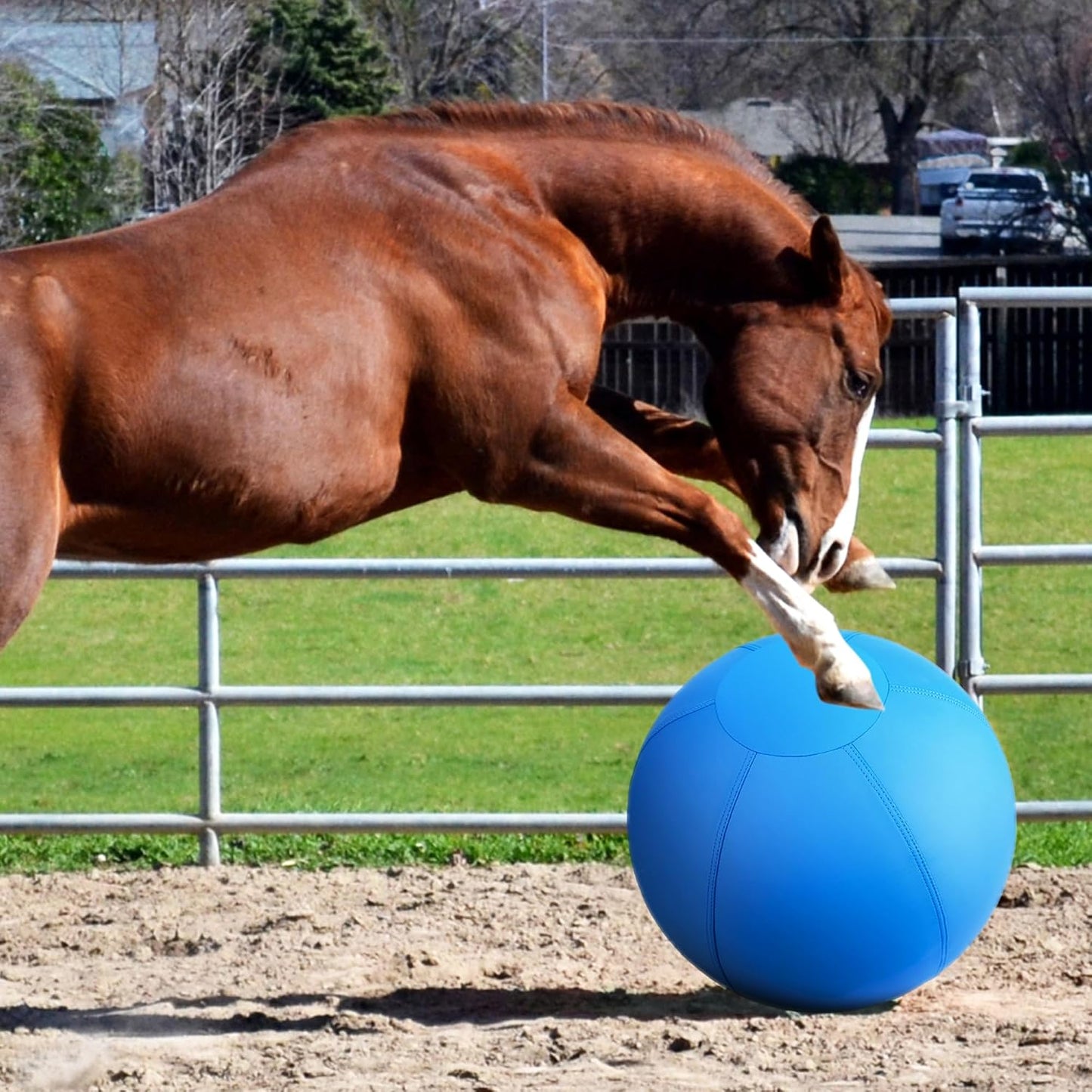 Pelota de pastoreo para perros y caballos, bola Jolly Ball de 25 pu...