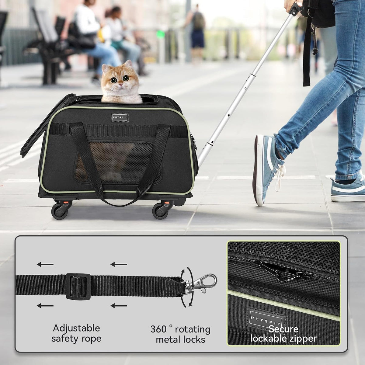 Transportín Petsfit para gatos con ruedas, aprobado por aerolíneas,...