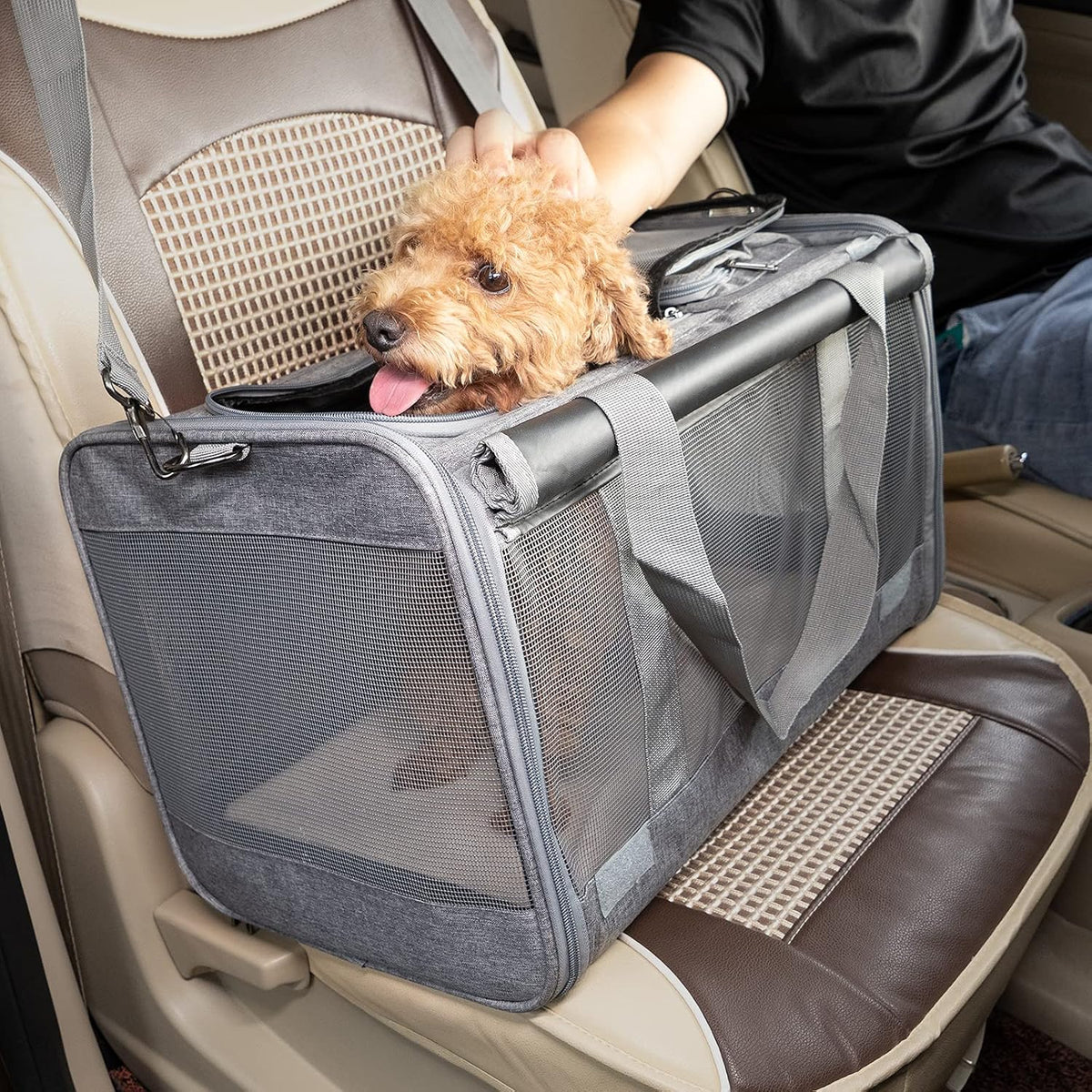 GAPZER Transportín para mascotas para gatos grandes, transportín pa...