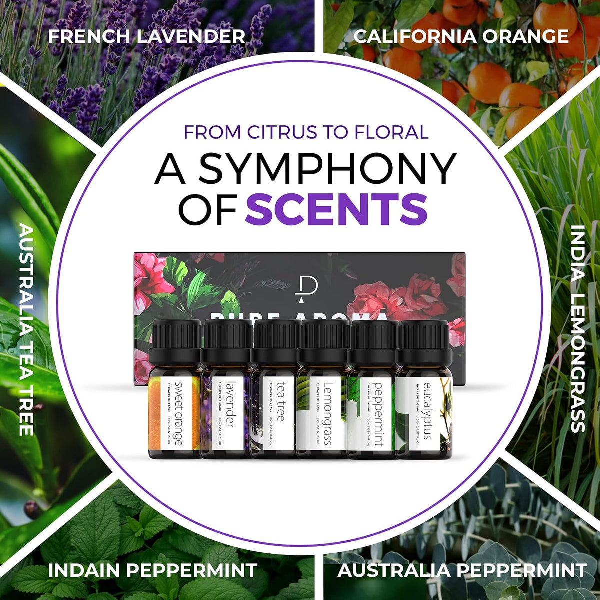 Pure Aroma Juego de aromaterapia de aceites esenciales, 6 aceites d...