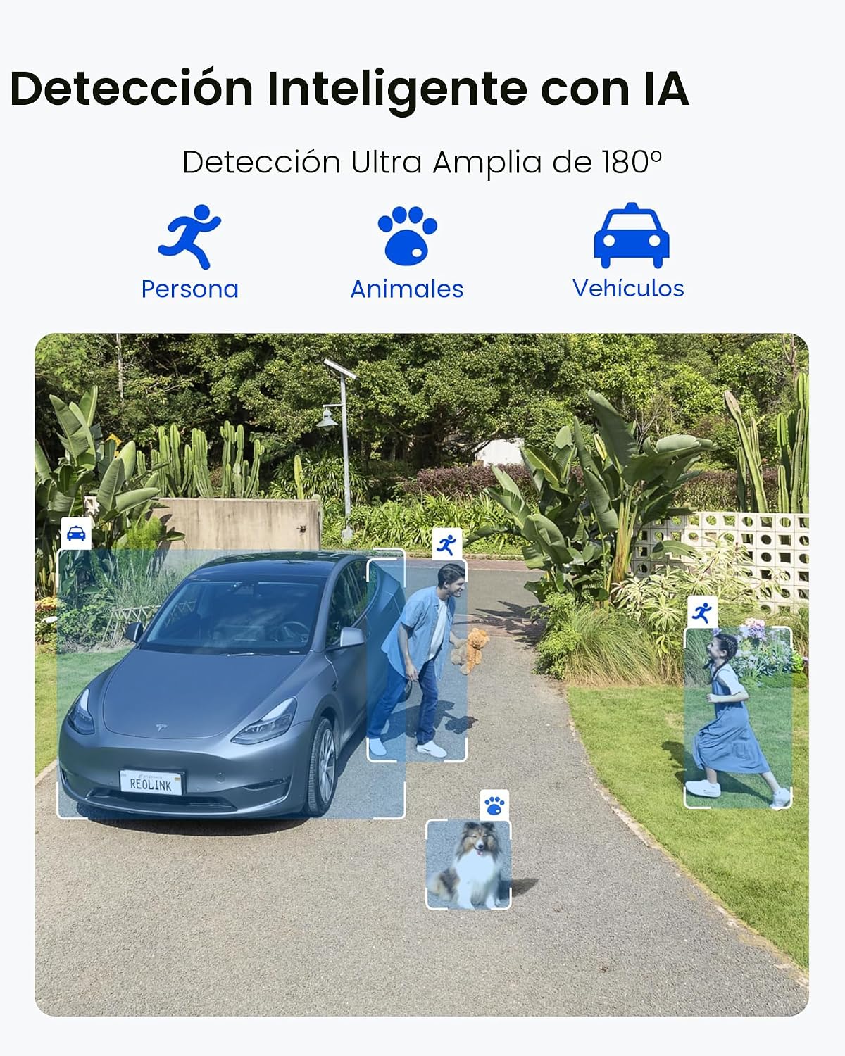 REOLINK Cámaras de seguridad 4K de doble lente de 180° inalámbricas...