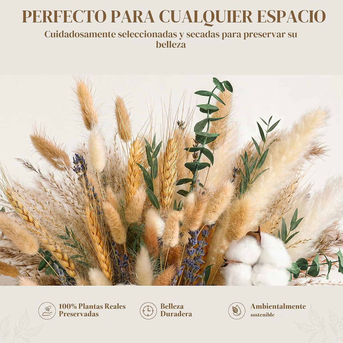 Ramo de flores secas verdes, 10 variedades de hierba de pampa con c...