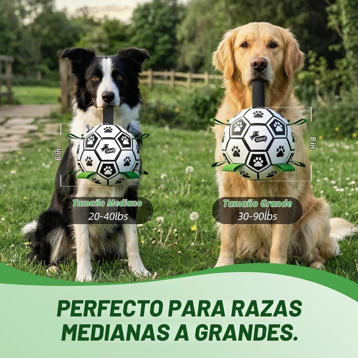 QDAN Juego de 2 pelotas de fútbol para perros con correas, juguetes...