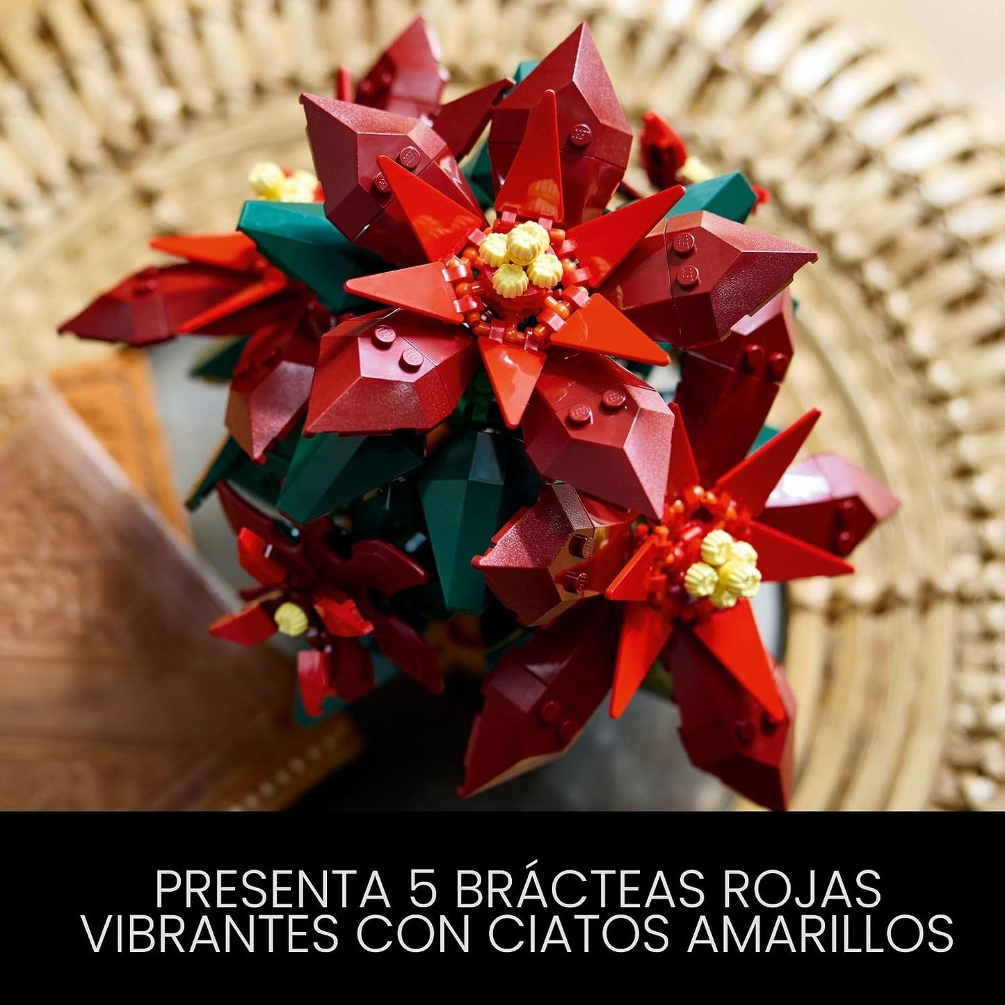 LEGO Icons Poinsettia - Juegos de construcción para adultos, flores...