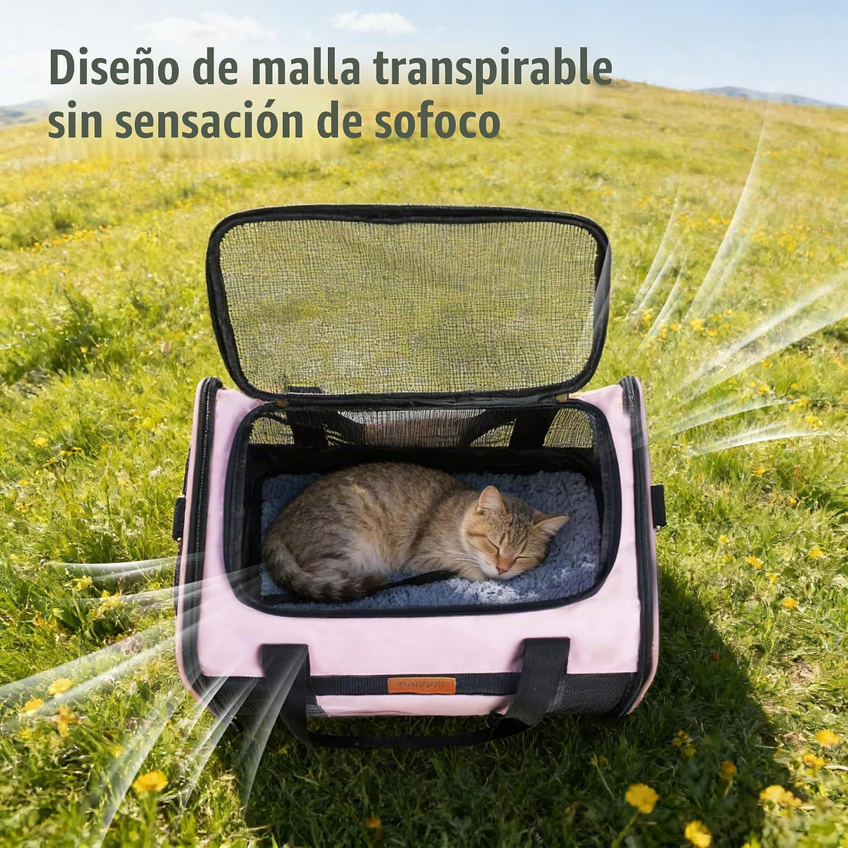 YUNIQUE Transportador de gatos y perros de lados suaves para mascot...