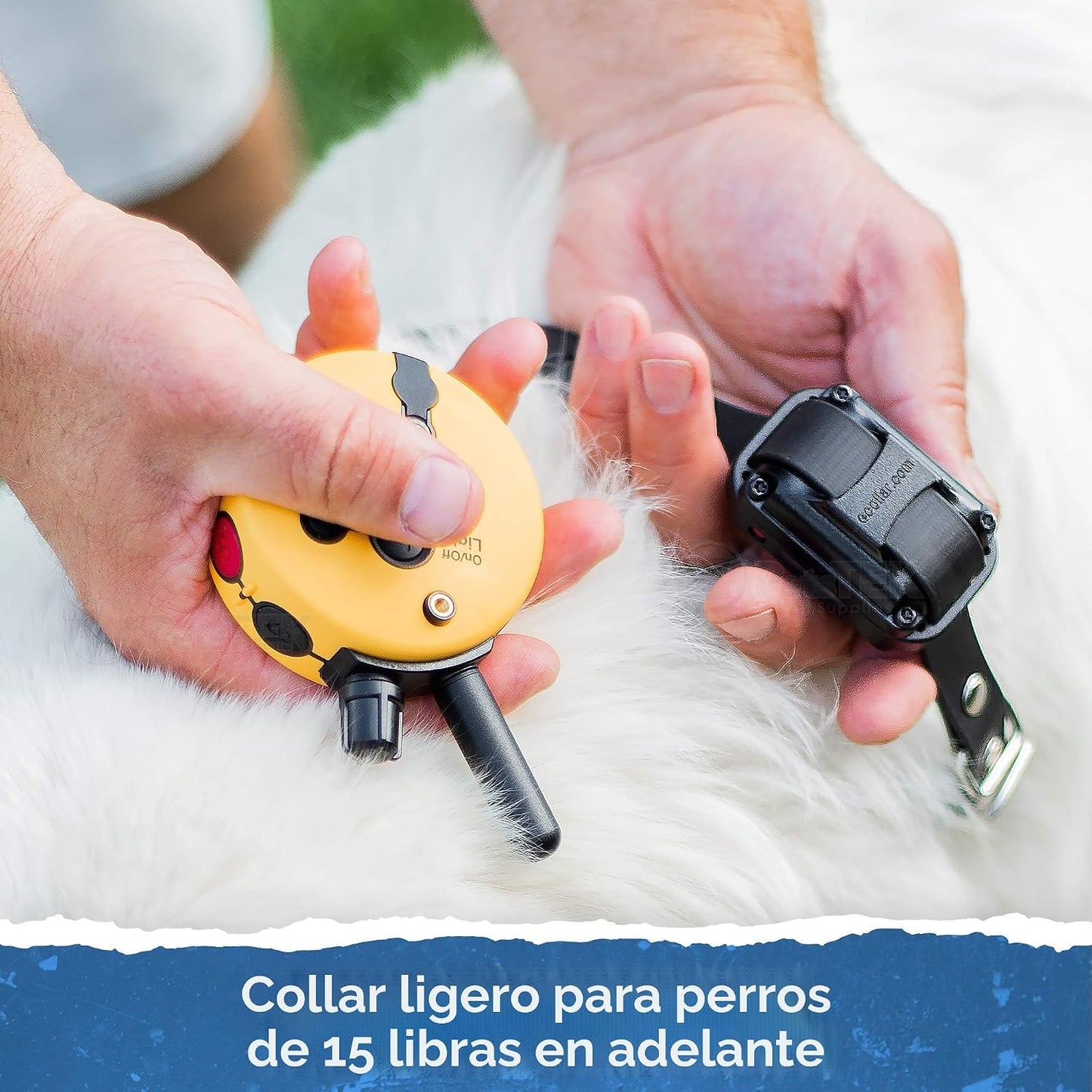 Educator ET-300 Mini Collar E para entrenamiento de perros con cont...