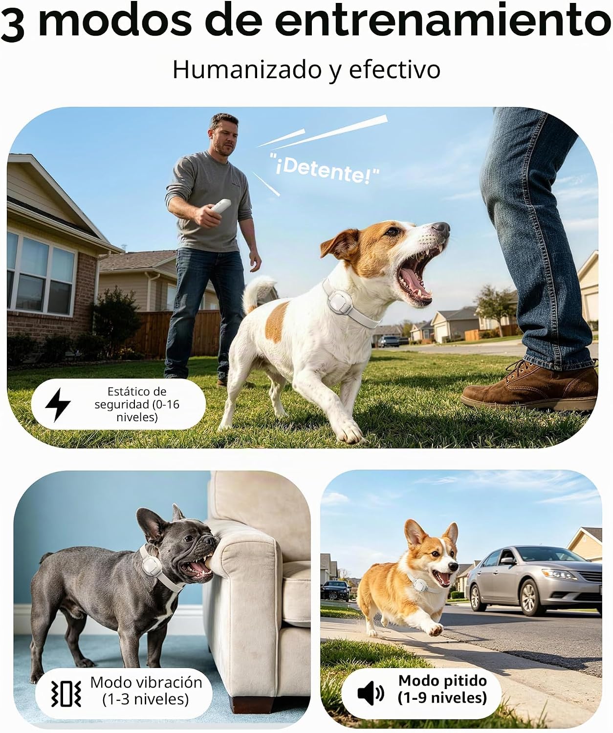 HapTop Collar de choque para perros pequeños de 5 a 30 libras - Col...