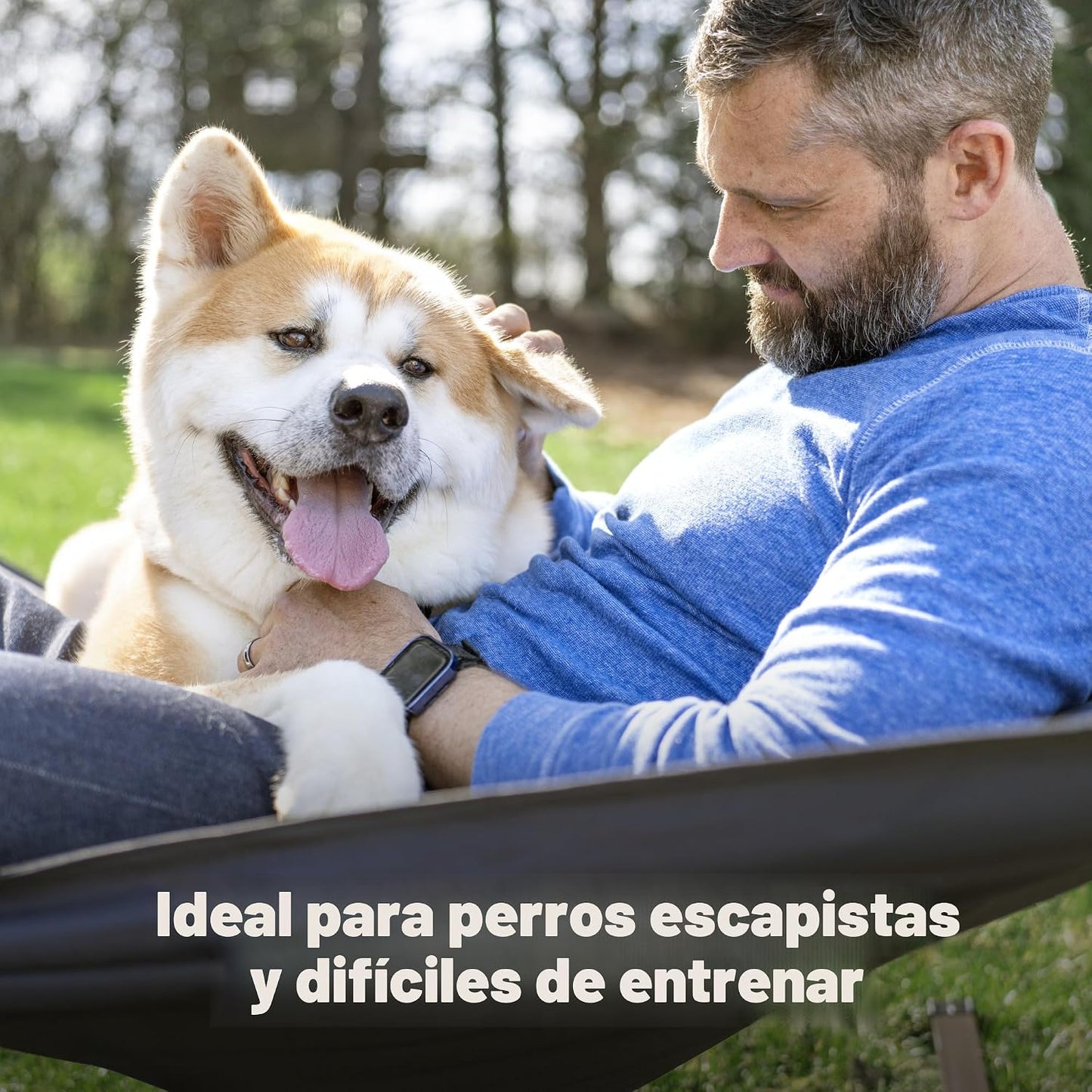 PetSafe Collar receptor de valla empotrada para perros obstinados -...