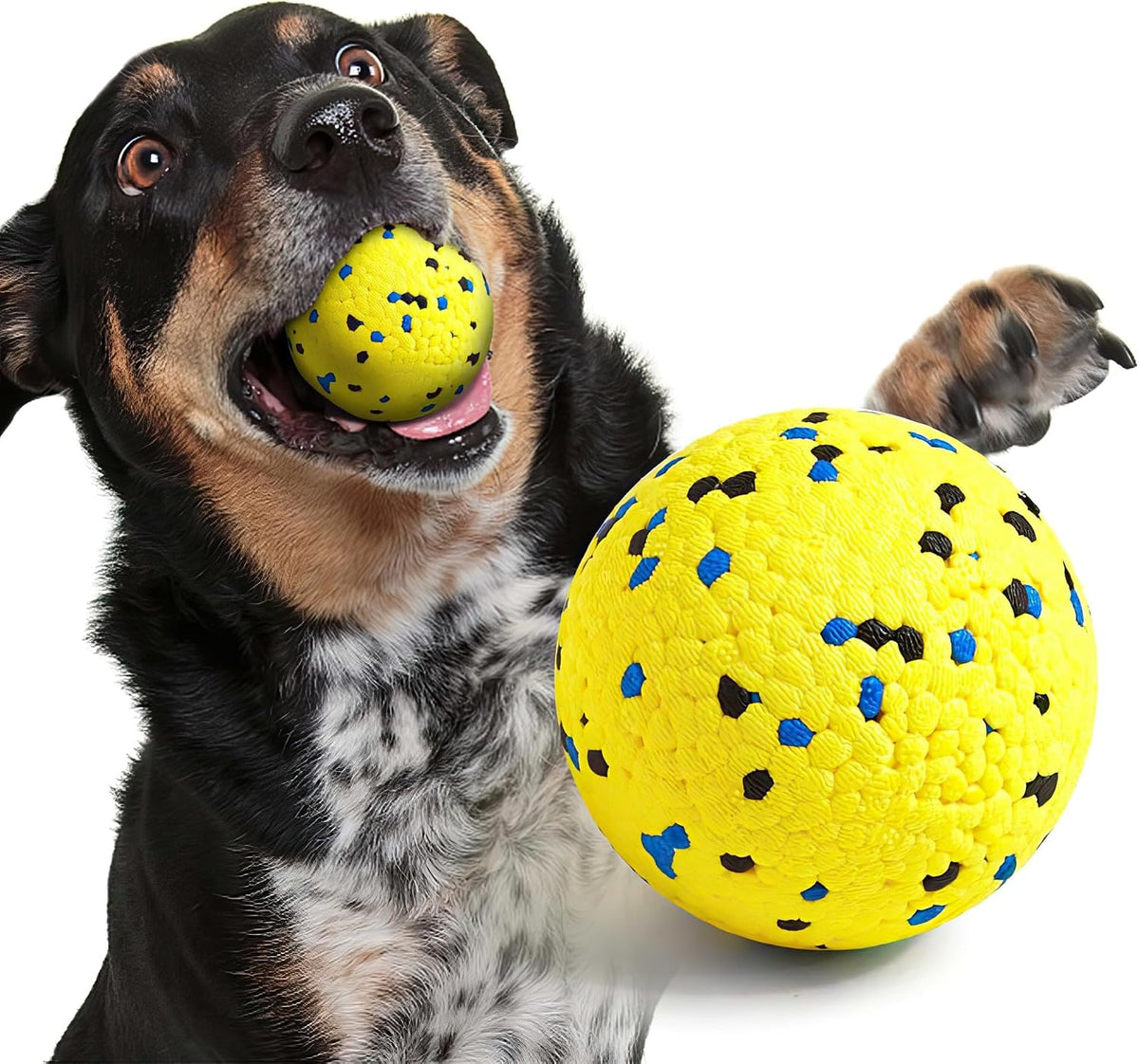 Kimee Pelotas de tenis para perros, juguetes para perros masticador...