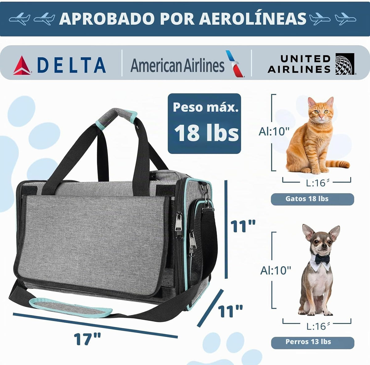 GAPZER Transportín para Gatos Aprobado por Aerolíneas American, Uni...