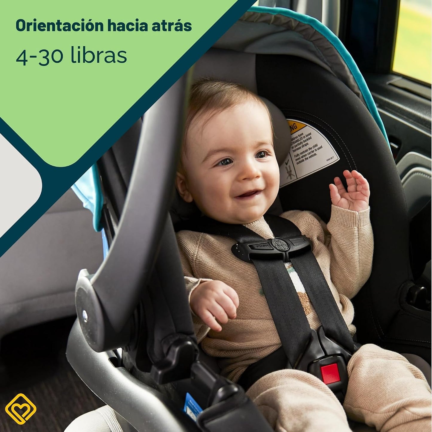 Safety 1st Asiento infantil OnBoard FLX para automóvil, Old Soul