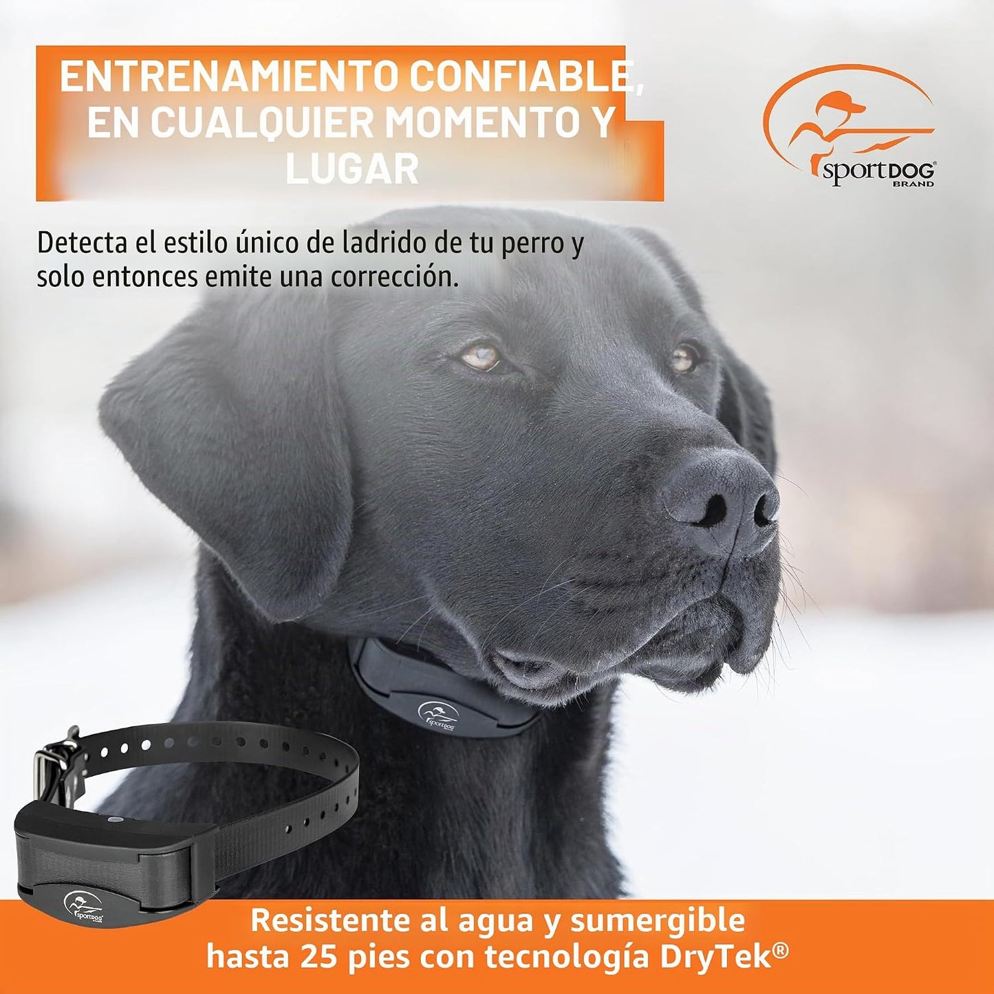 Collar SportDOG Brand NoBark 10, collares para ladridos de perro, r...