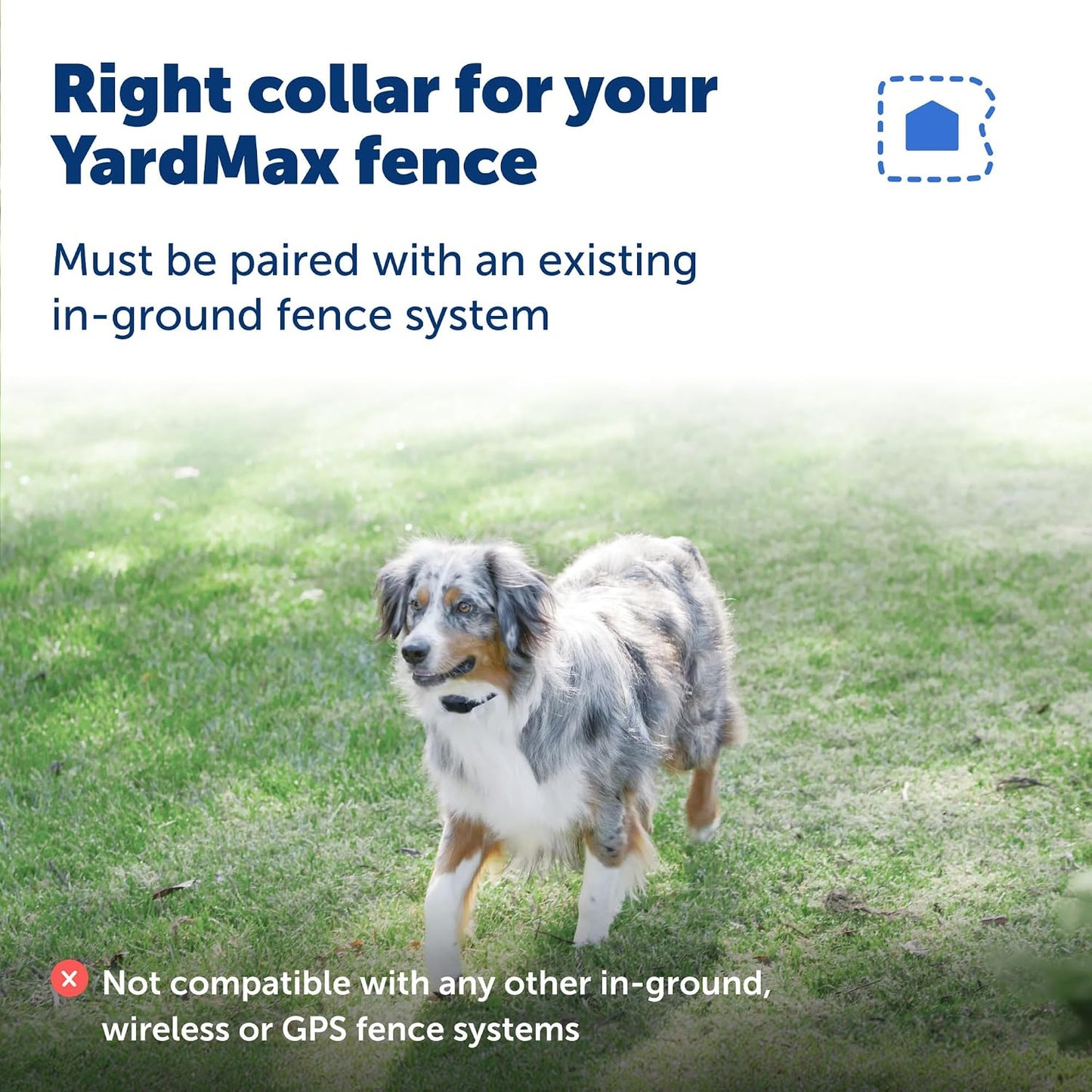 PetSafe YardMax - Collar de valla para perro, collar eléctrico impe...