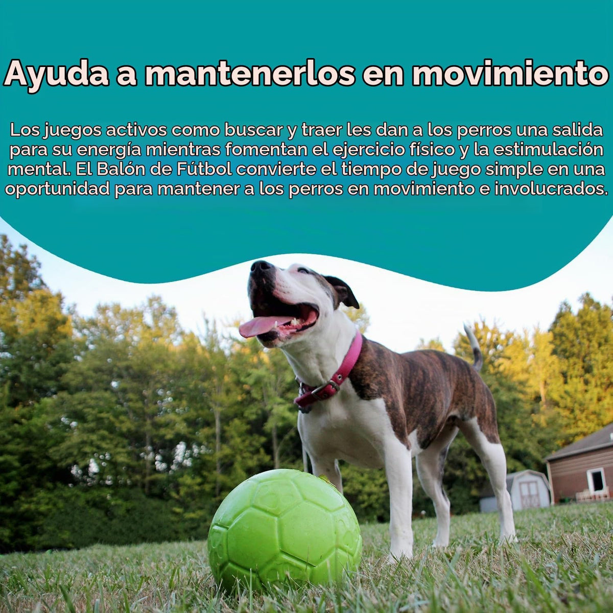 Jolly Pets Pelota de Fútbol Jolly Grande Flotante-Rebotante Juguete...