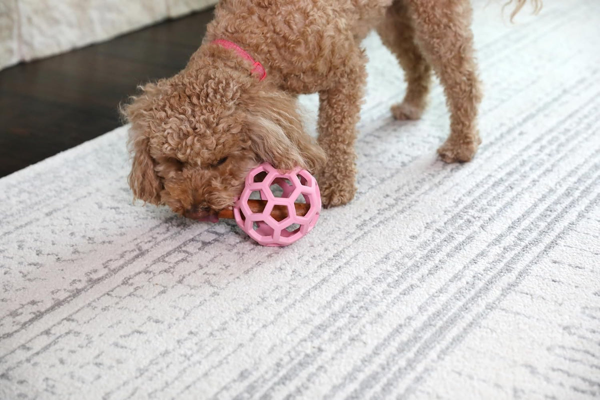 JW Pet HOL-ee Roller™, bola de rompecabezas de juguete para perros,...
