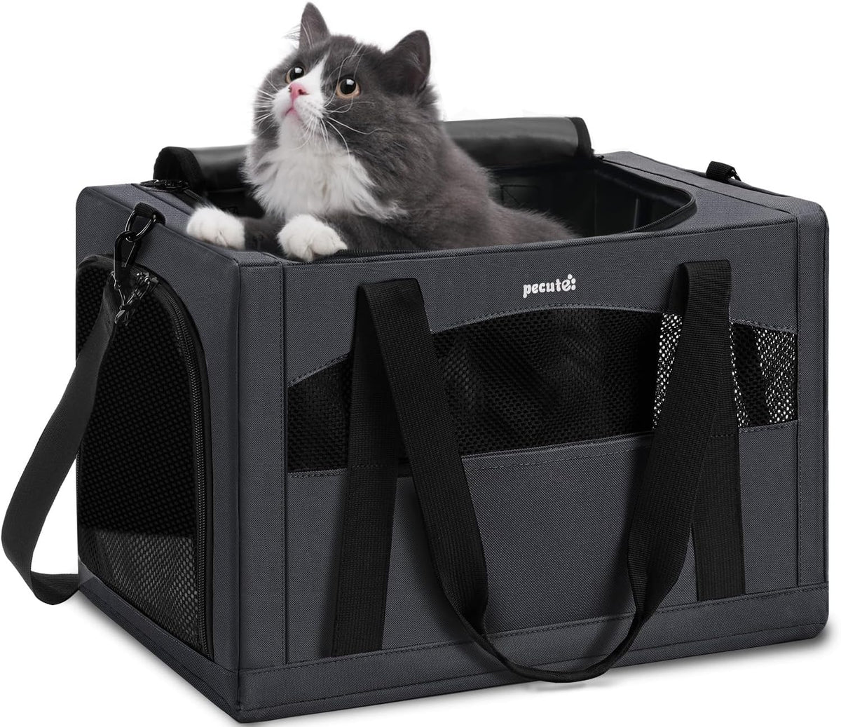 Pecute Transportador estable para gatos, transportador de mascotas...