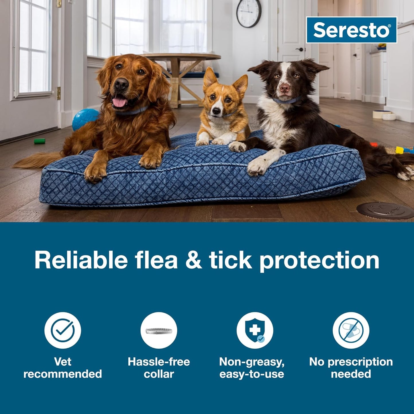 Seresto Collar de Tratamiento y Prevención de Pulgas y Garrapatas R...