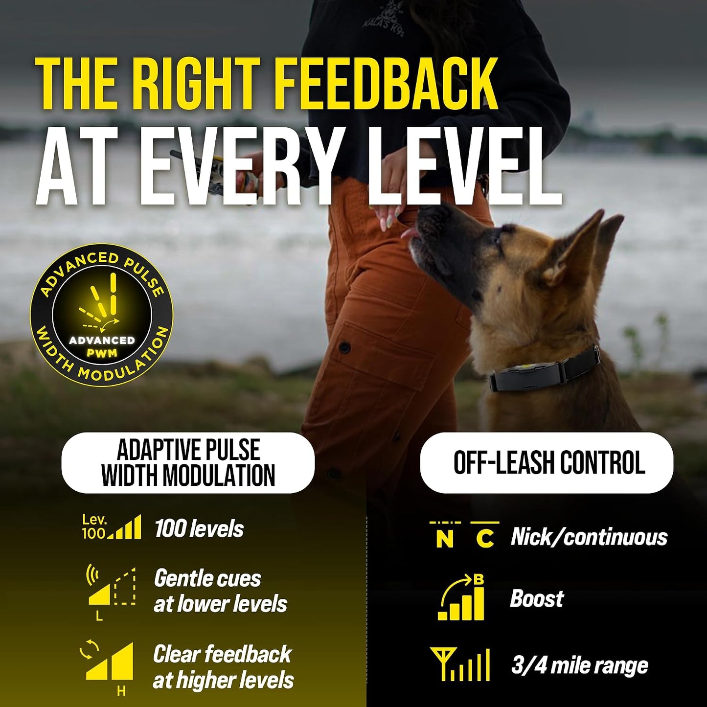 Dogtra ARC-X - Collar electrónico para entrenamiento de perros, ran...