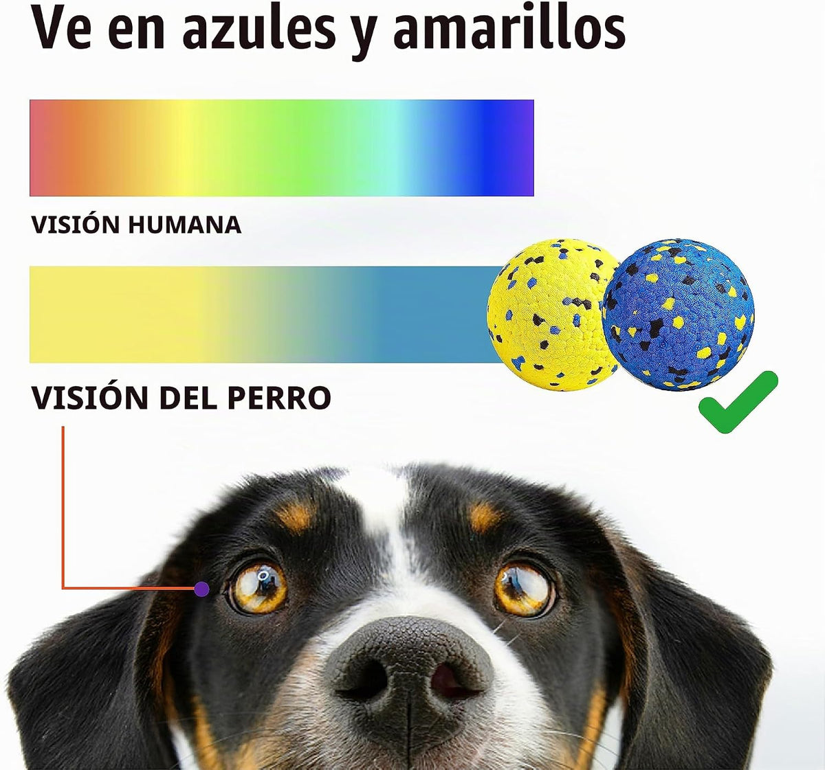 Kimee Pelotas de tenis para perros, juguetes para perros masticador...