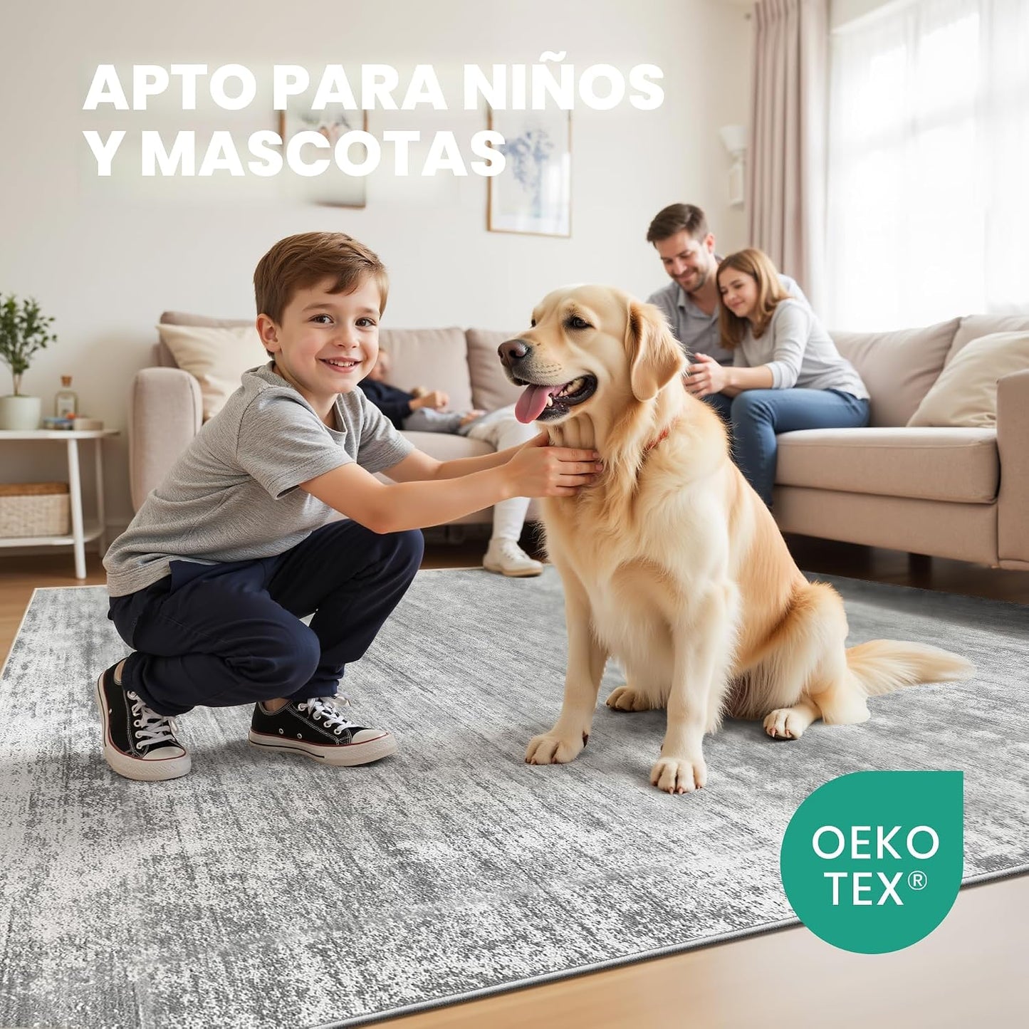 zesthome Alfombras de 8 x 10 pulgadas para sala de estar, alfombra...