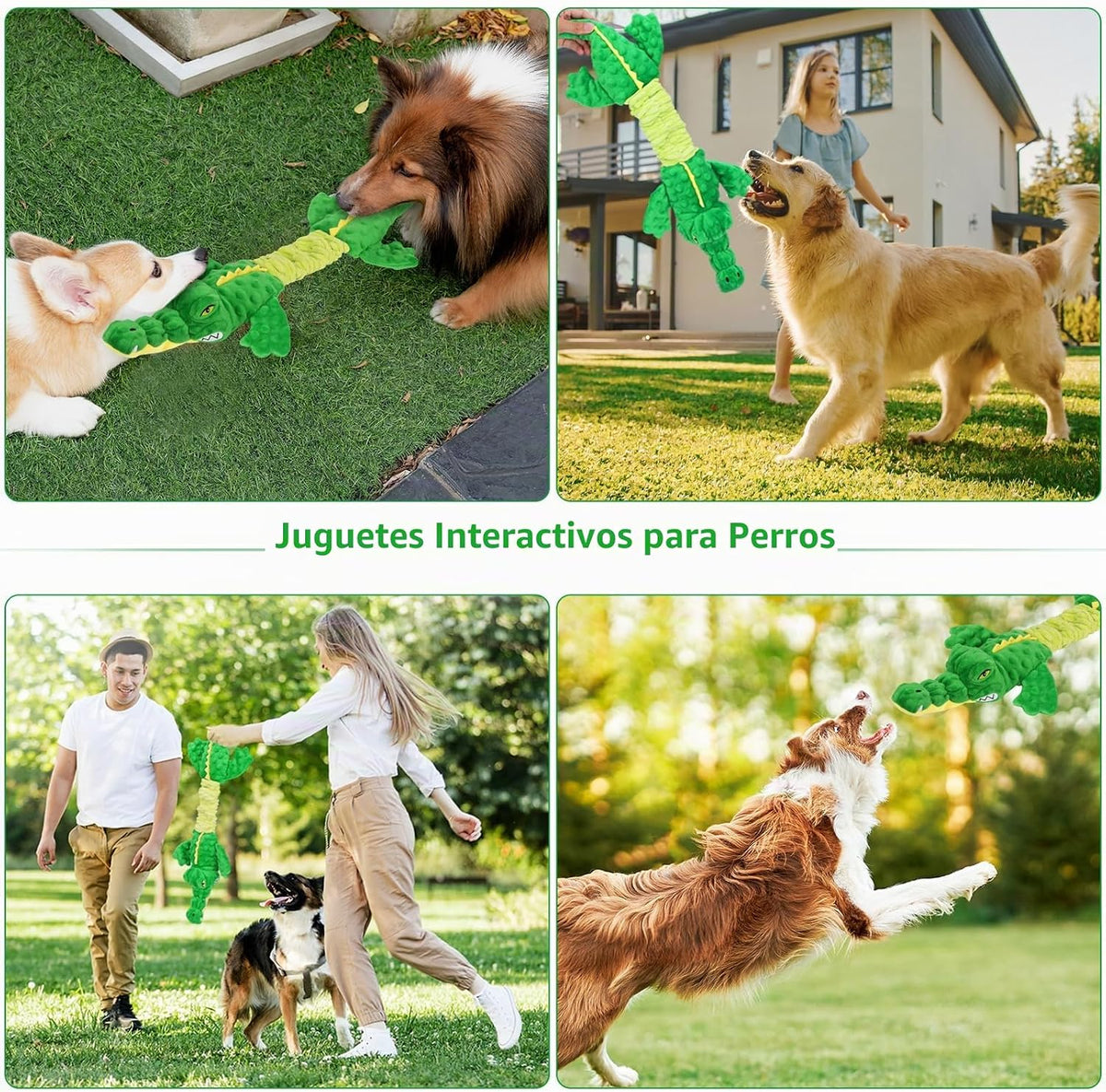 Letsmeet Juguetes Grandes de Cocodrilo Chirriante para Perros, Jugu...