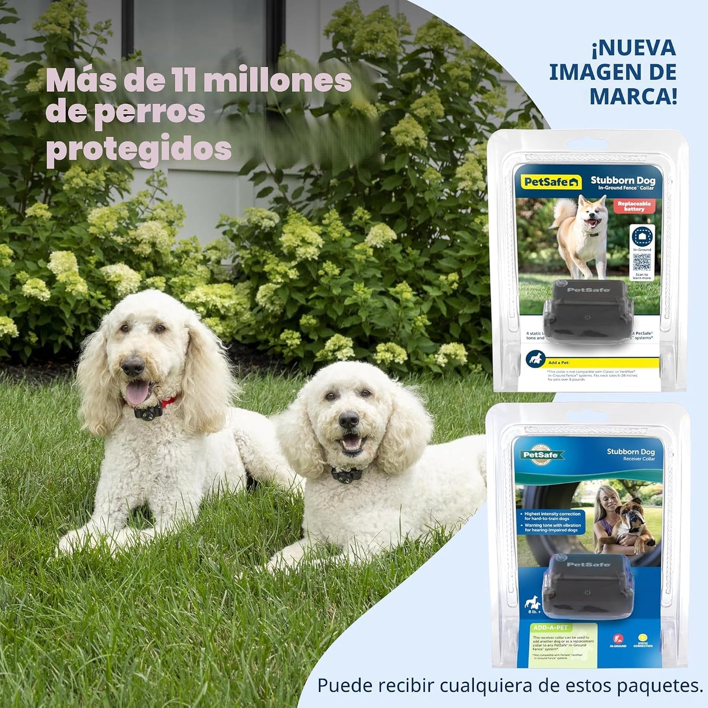 PetSafe Collar receptor de valla empotrada para perros obstinados -...