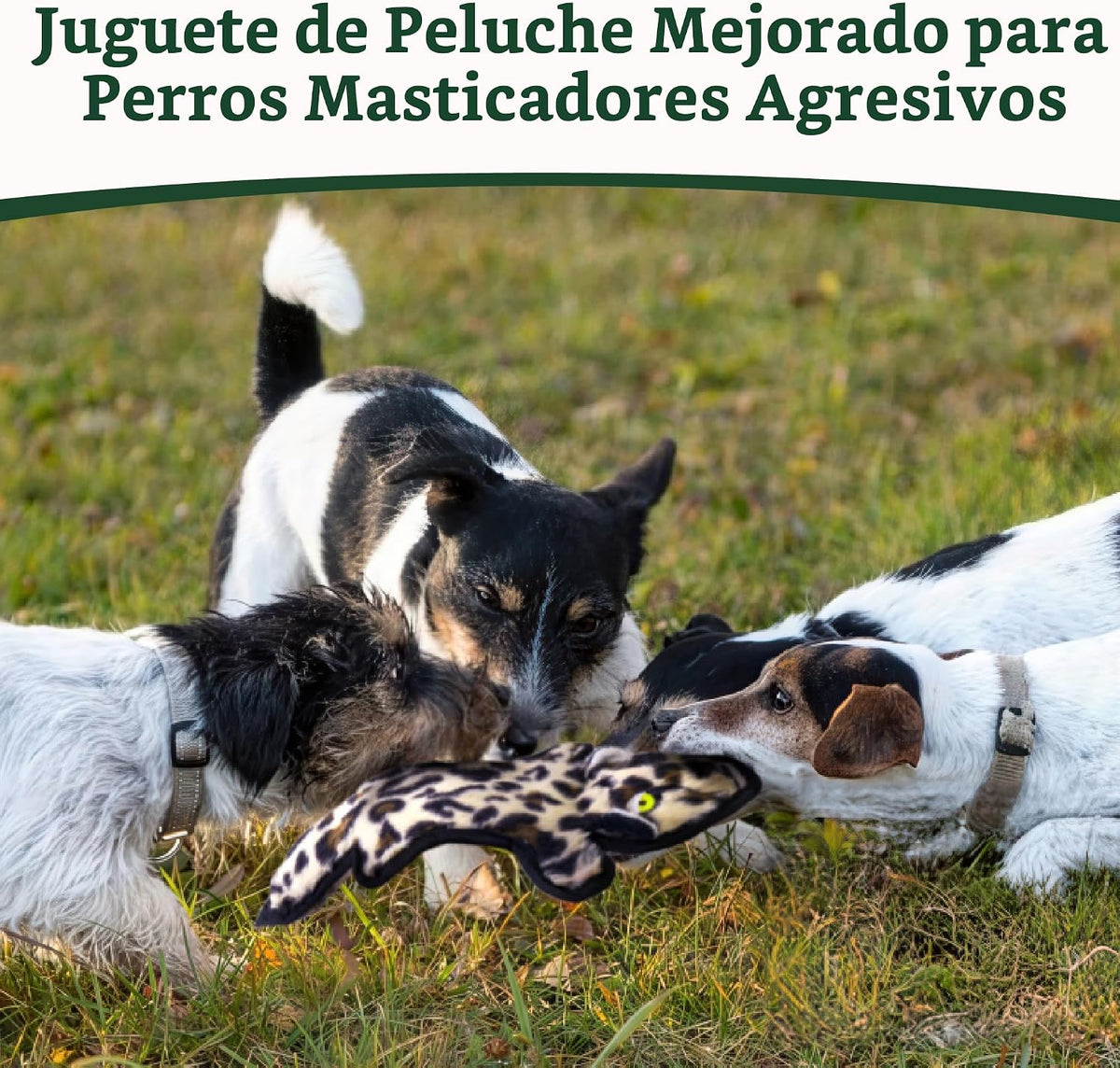 SHARLOVY - Juguetes para perros sin relleno crujientes y chillones,...