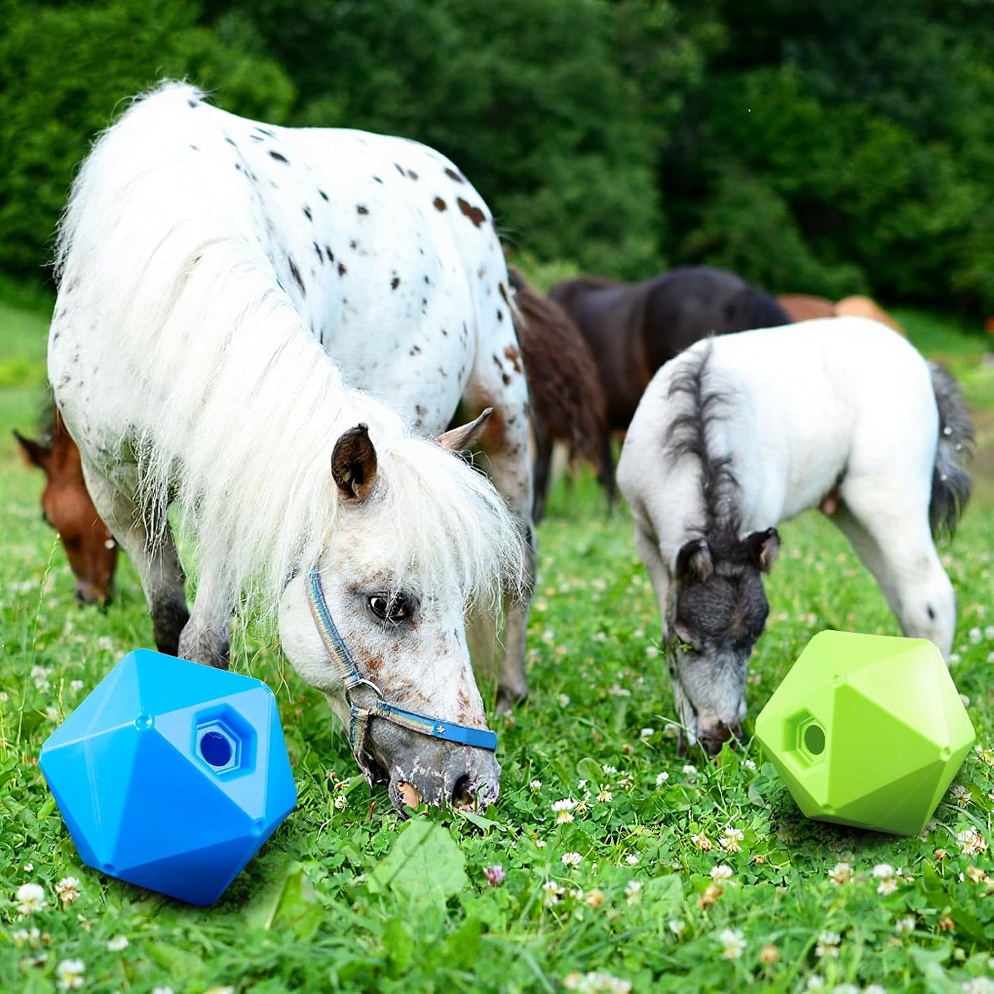 Seenelling Paquete de 2 bolas de golosinas para caballos, juguete |...
