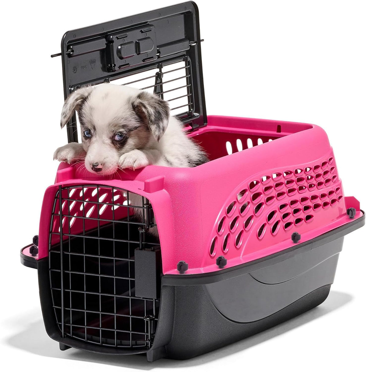 Petmate Jaulas para perros pequeños y transportadores para gatos, p...