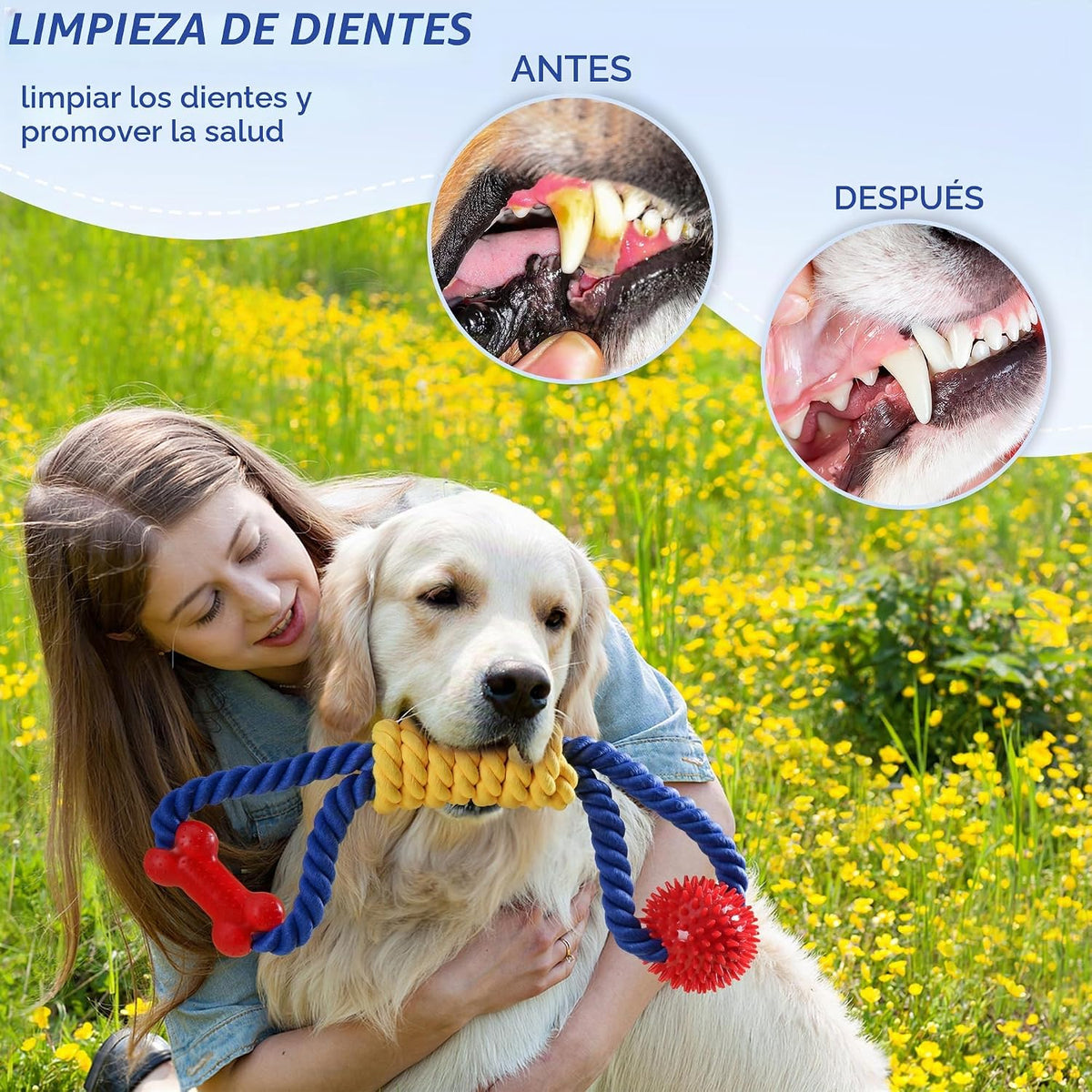 Aitmexcn Juguetes interactivos de cuerda para perros, juegos de tir...